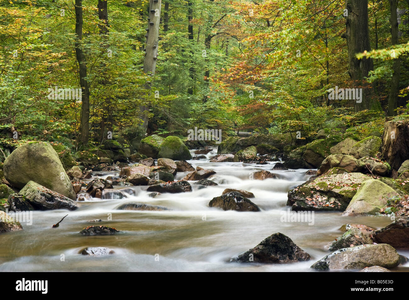 Ilse creek, Germania, Sassonia-Anhalt, Ilsetal Foto Stock