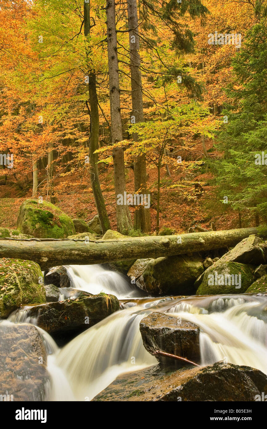 Ilse creek, Germania, Sassonia-Anhalt, Ilsetal Foto Stock