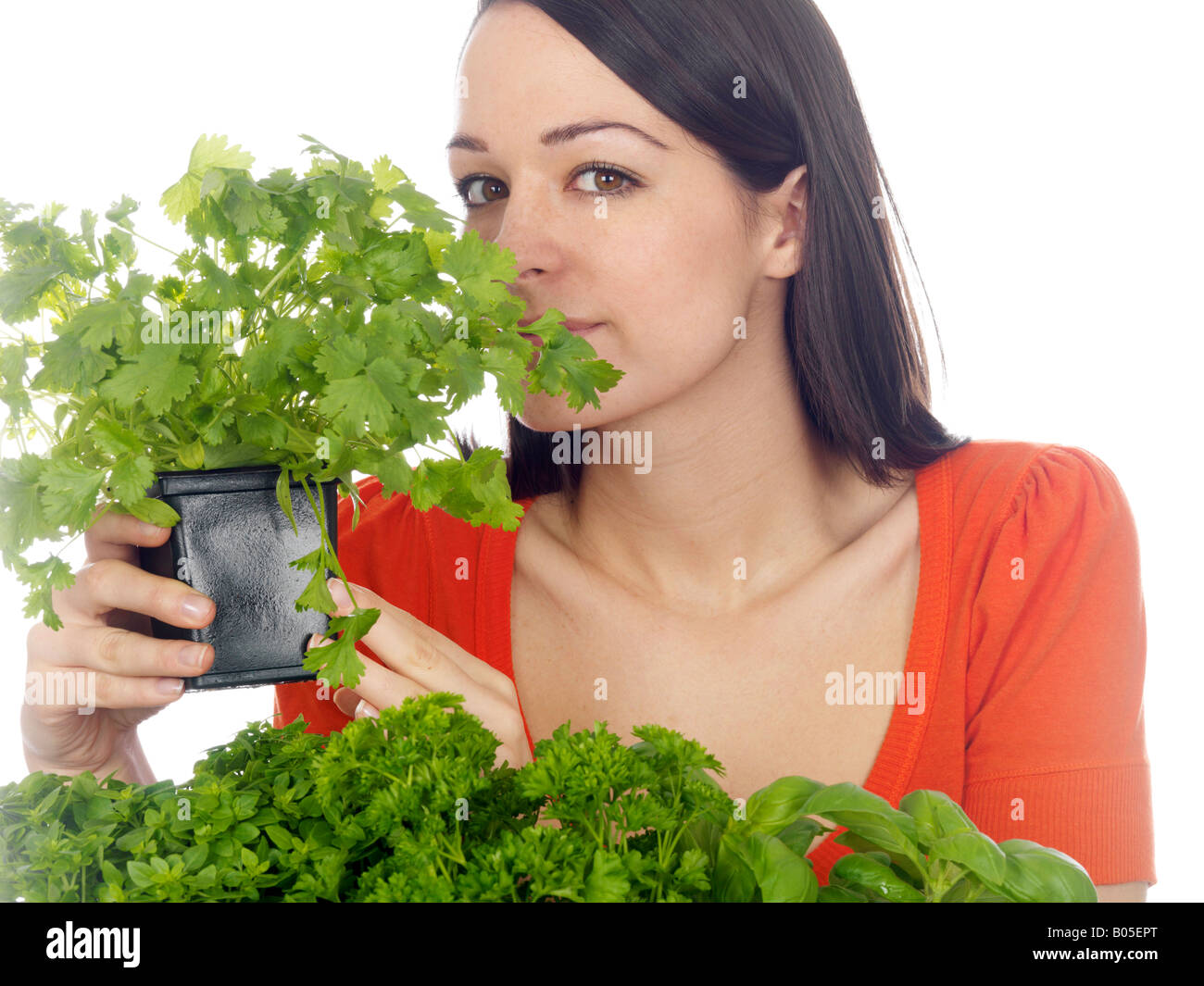 Giovane donna con una piscina Homegrown fresco giardino di erbe isolata contro uno sfondo bianco con un tracciato di ritaglio Foto Stock
