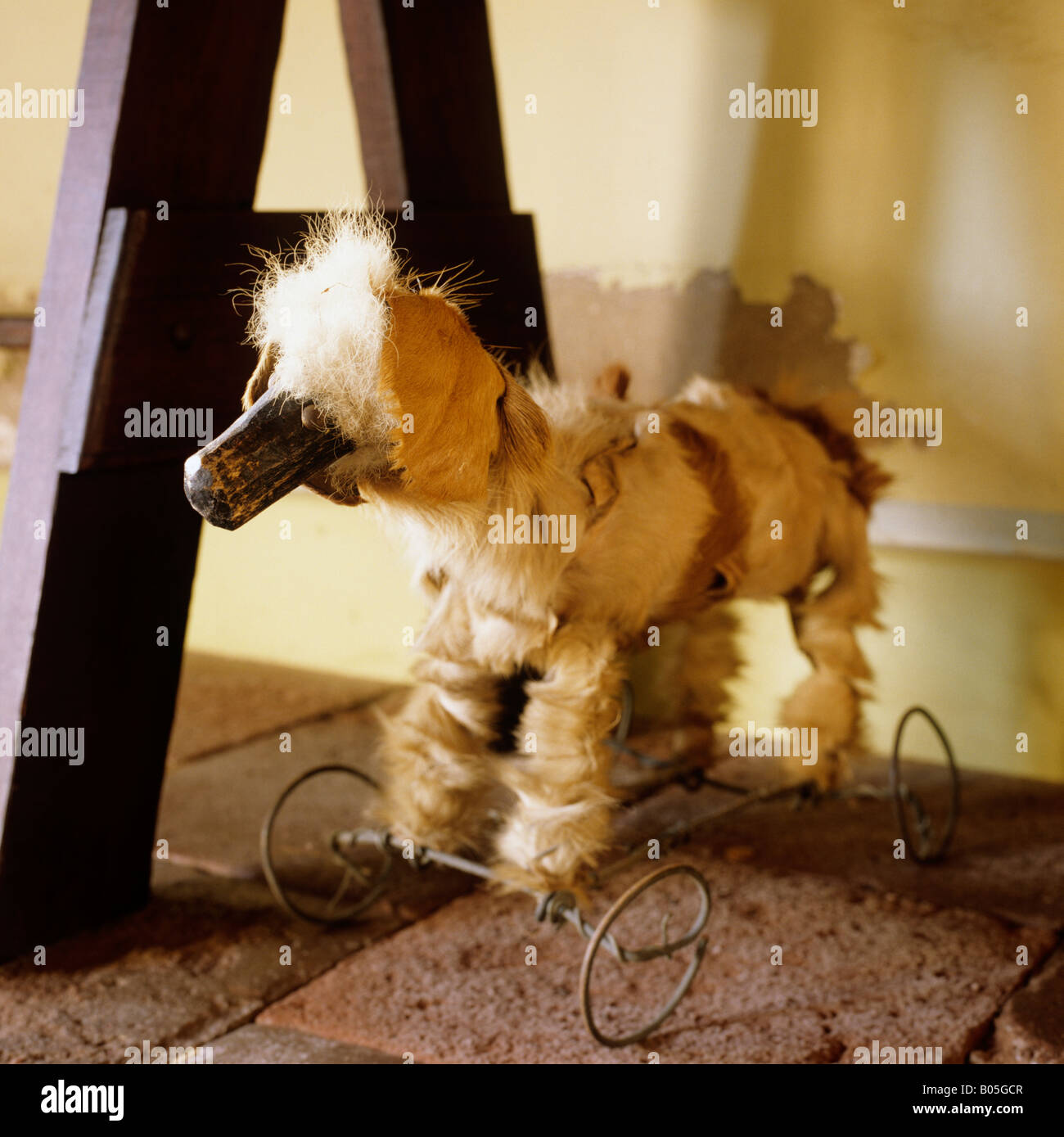 Un inizio xx secolo cane giocattolo su ruote in pessime condizioni in South African Cape Dutch homestead Foto Stock