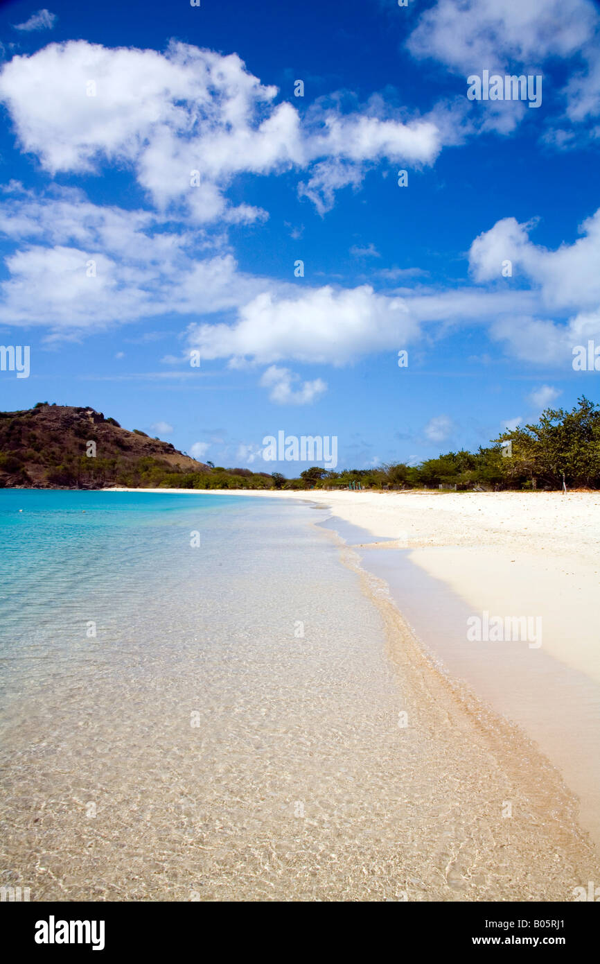 Una bellissima spiaggia di sabbia di Antigua Foto Stock