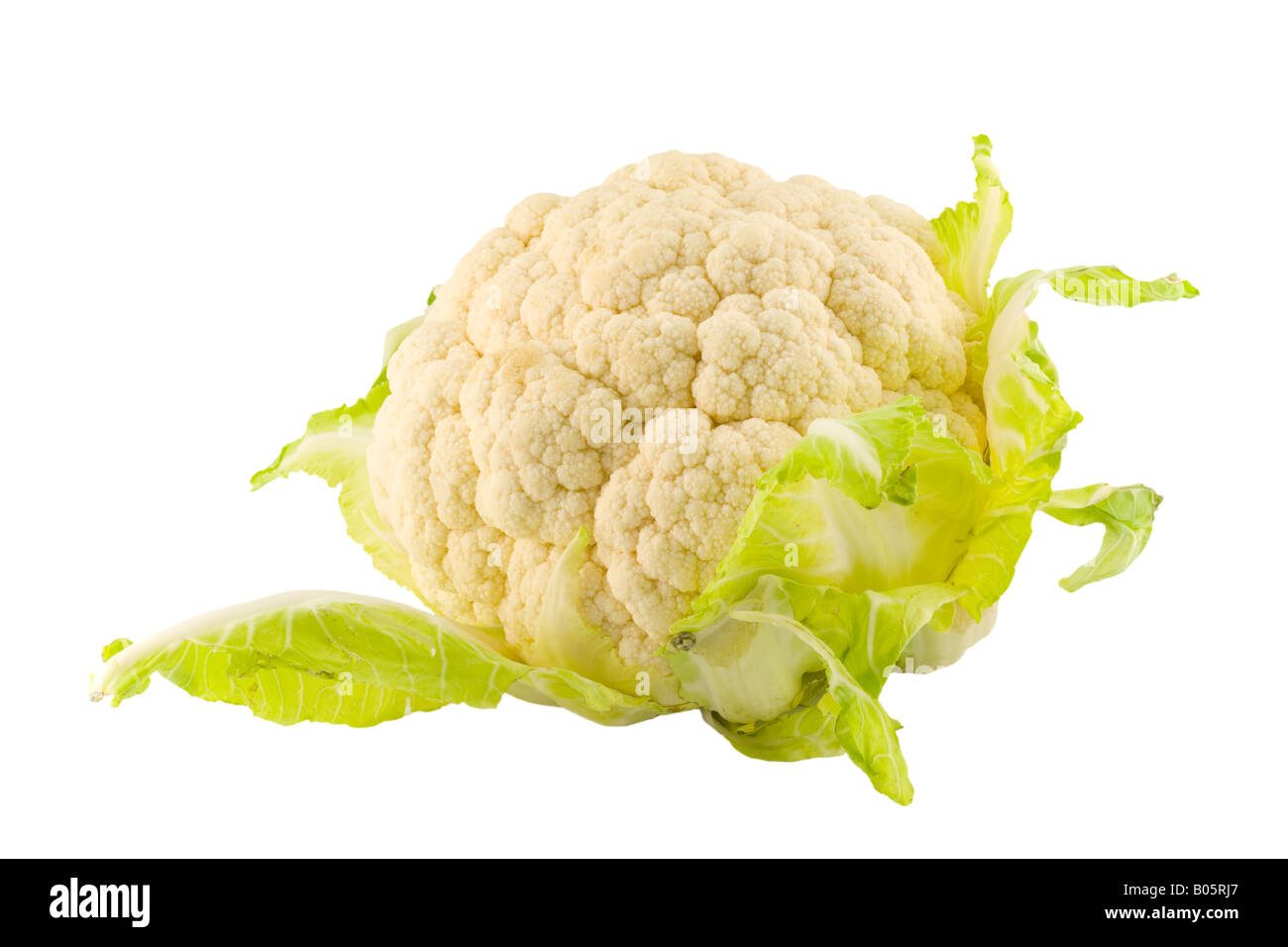 Un cavolfiore grezzo isolato su sfondo bianco Foto Stock