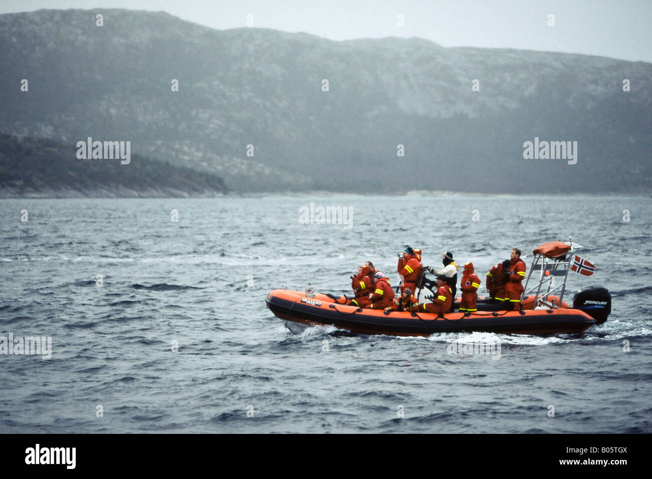 Whale watching eco turisti su una rigida mondati barca gonfiabile in Tysfjord Norvegia Foto Stock