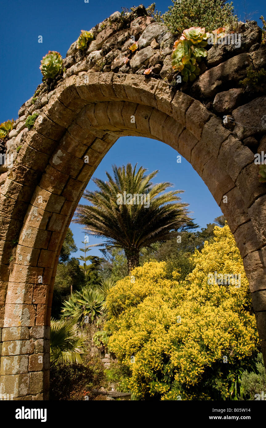 Arco di pietra parte delle rovine della abbazia a Tresco Abbey Gardens, Isola di Scilly. Foto Stock