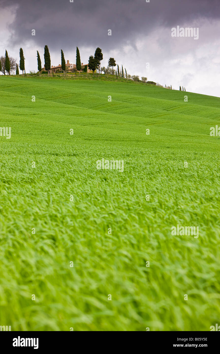 Casa di campagna circondata da verde e lussureggiante campagna Toscana con minacciose nuvole temporalesche, provincia di Siena, Regione Toscana Foto Stock