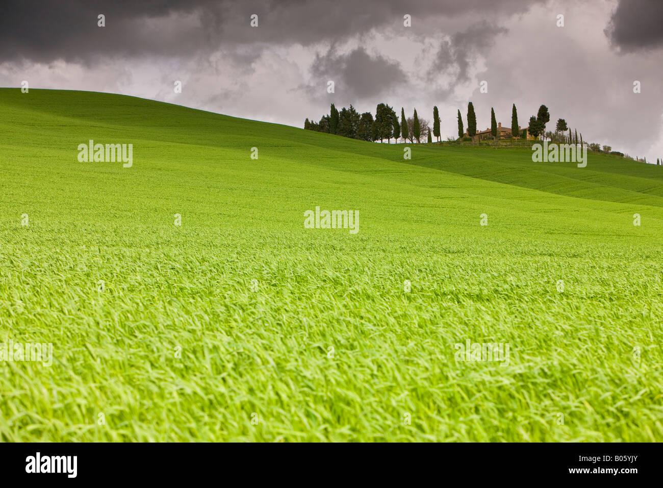 Casa di campagna circondata da verde e lussureggiante campagna Toscana con minacciose nuvole temporalesche, provincia di Siena, Regione Toscana Foto Stock