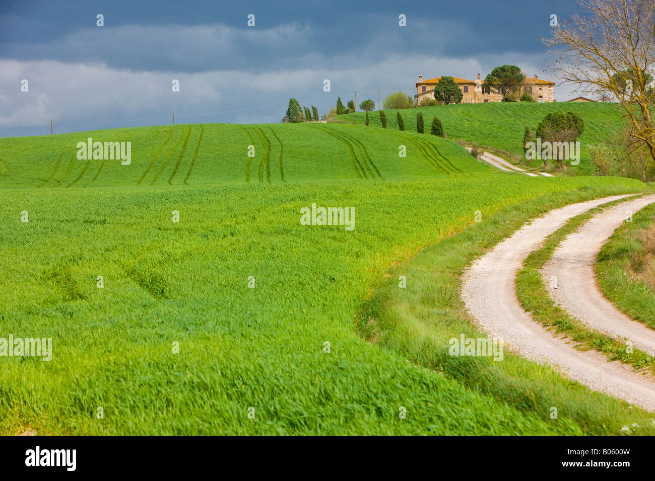 Casa di campagna circondata da un lussureggiante paesaggio toscano, provincia di Siena, Regione Toscana, Italia, Europa. Foto Stock
