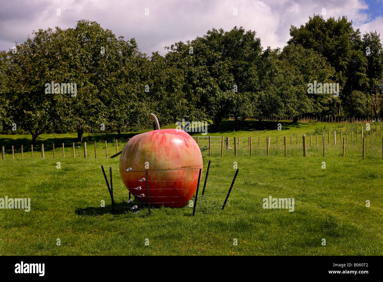 Grande scultura di Apple in un campo per frutteto circondato da recinzione elettrificata per proteggerlo da bovini, Nuova Zelanda Foto Stock