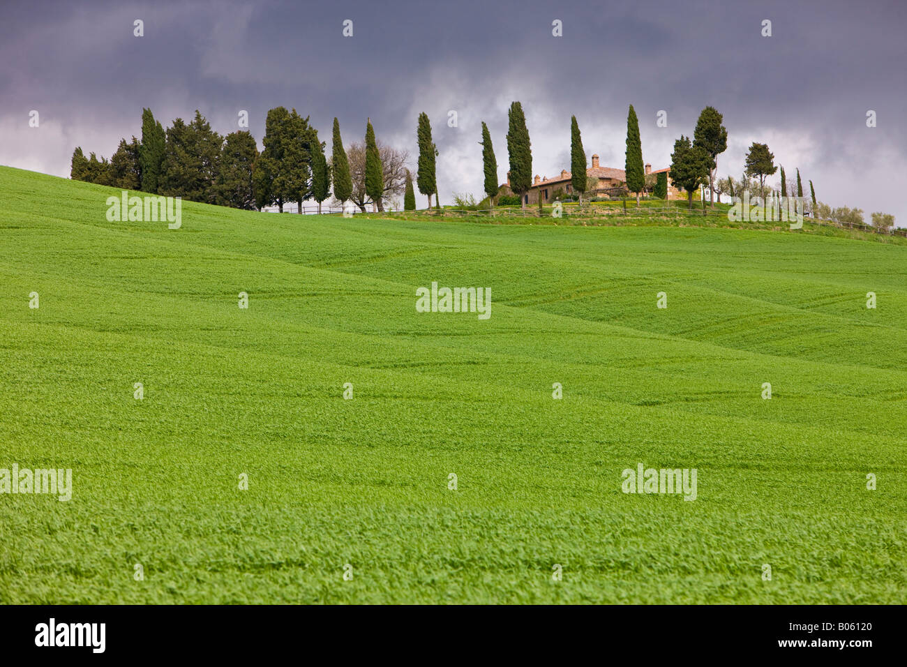 Casa di campagna circondata da verde e lussureggiante campagna Toscana con minacciose nuvole temporalesche, provincia di Siena, Regione Toscana Foto Stock