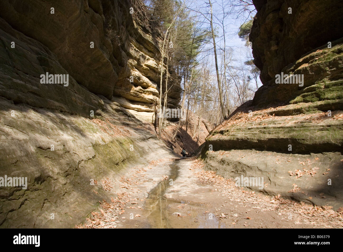 Canyon francese. Starved Rock State Park. Foto Stock