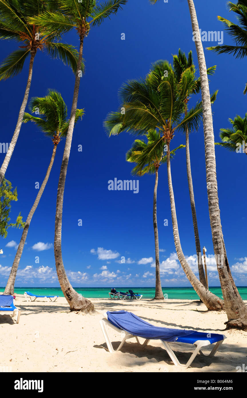 Spiaggia di sabbia sul resort caraibico con alte palme Foto Stock