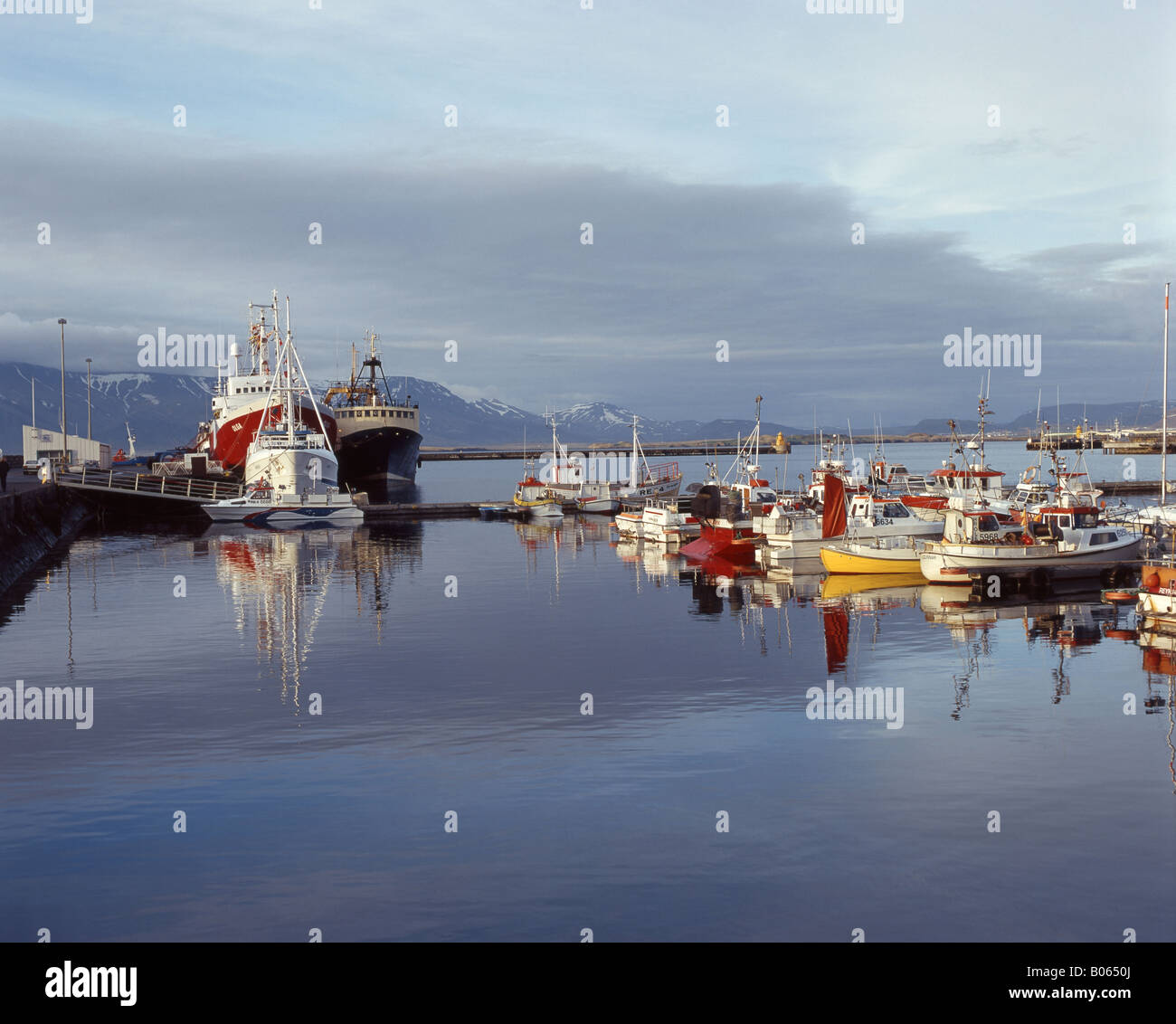 Barche da pesca in porto all'alba, Reykjavik, una maggiore area di Reykjavík, Repubblica di Islanda Foto Stock