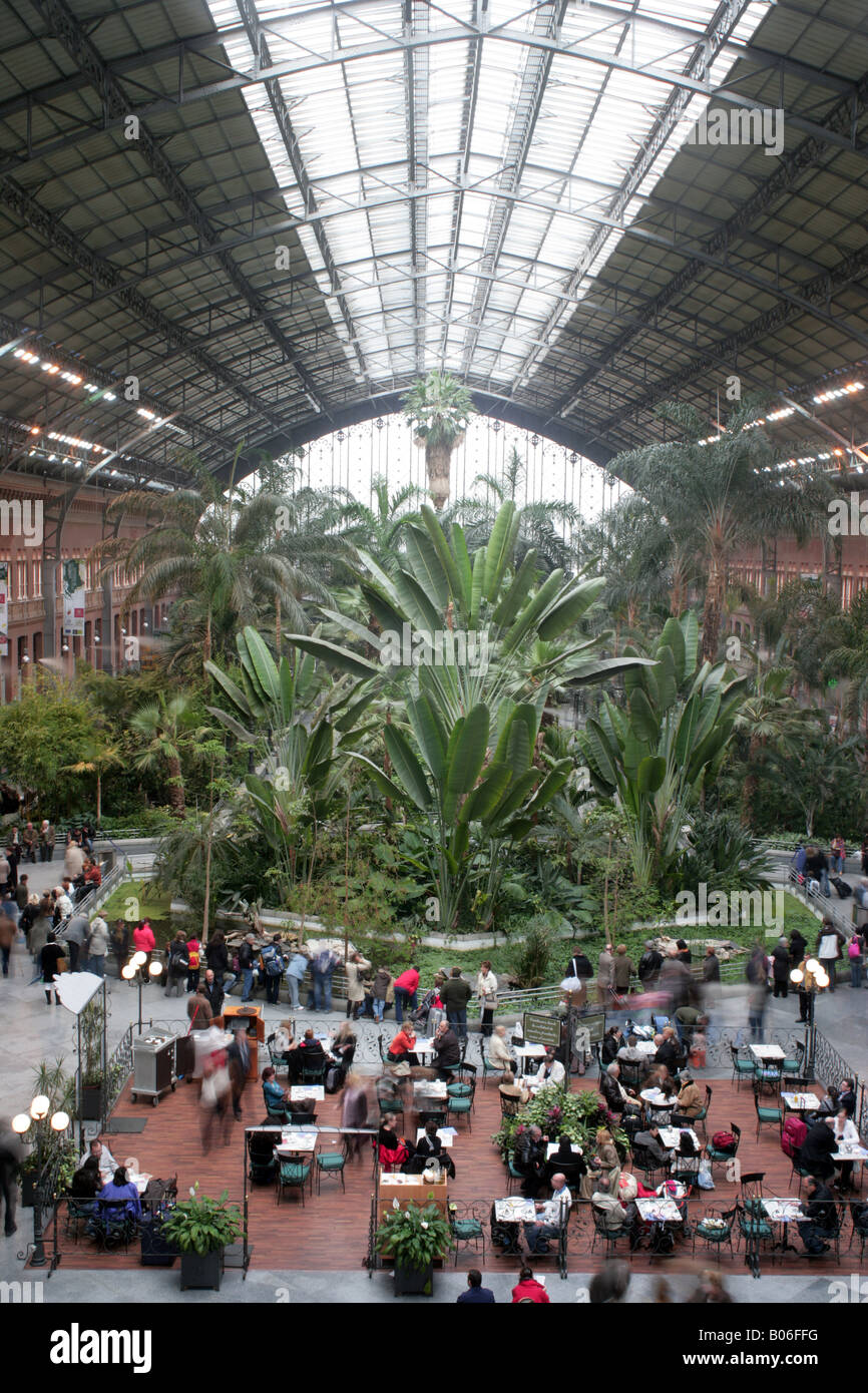 Un giardino tropicale nella stazione ferroviaria di Atocha Madrid Foto Stock