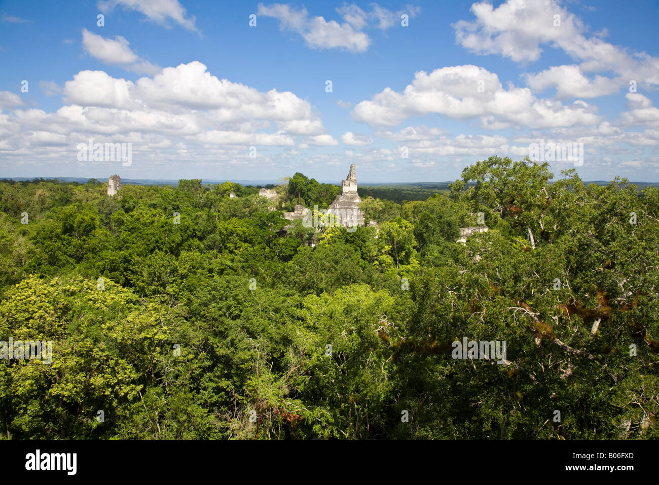 Guatemala, El Petén, Tikal, vista dal Tempio V Foto Stock