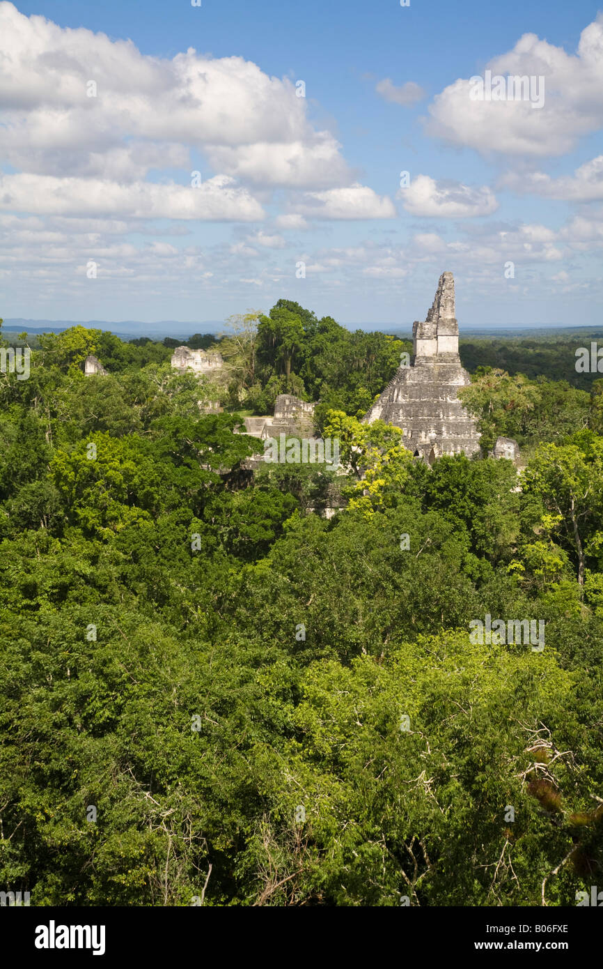 Guatemala, El Petén, Tikal, vista dal Tempio V Foto Stock