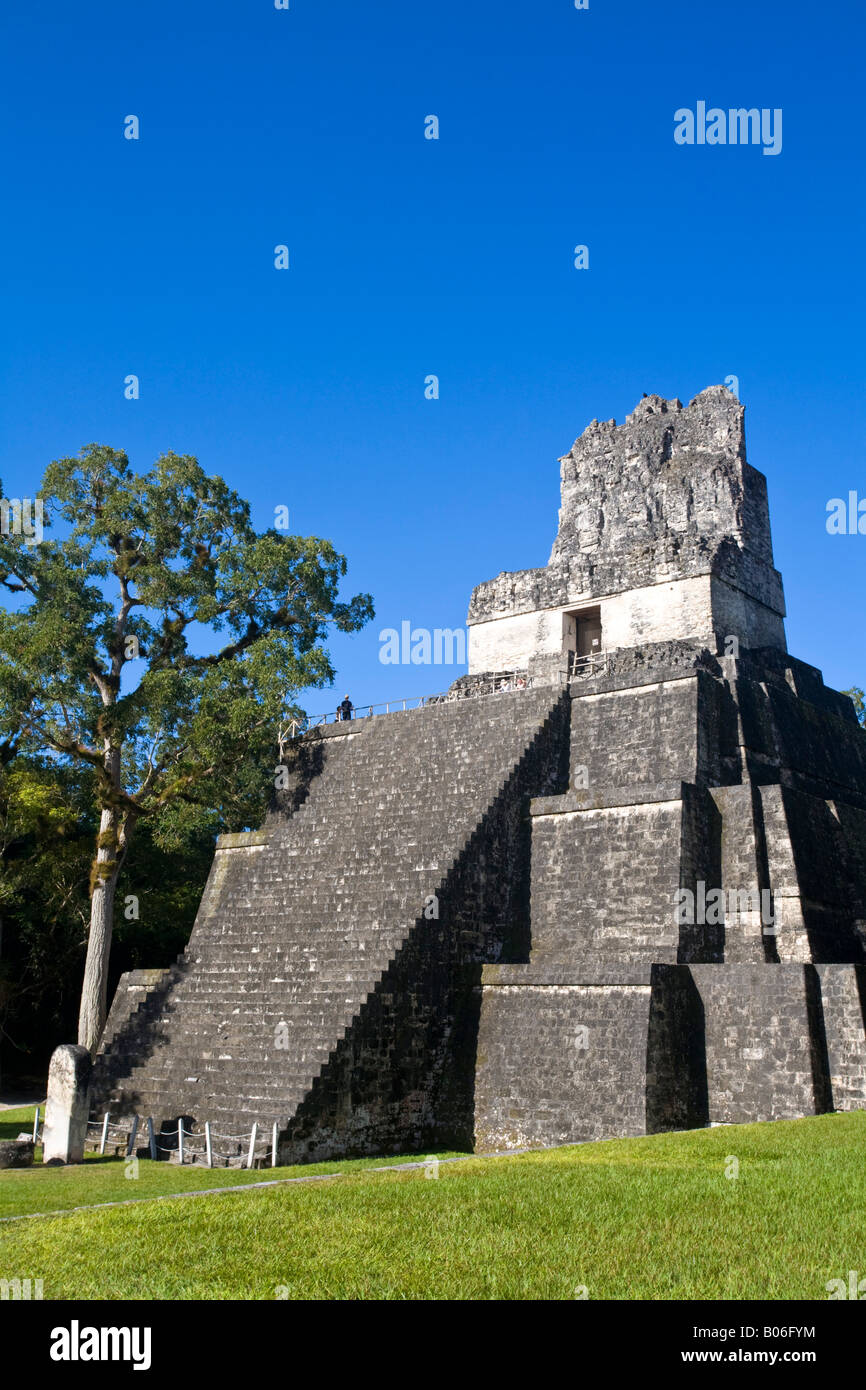 Guatemala, El Petén, Tikal, Gran Plaza, Tempio 11 Foto Stock