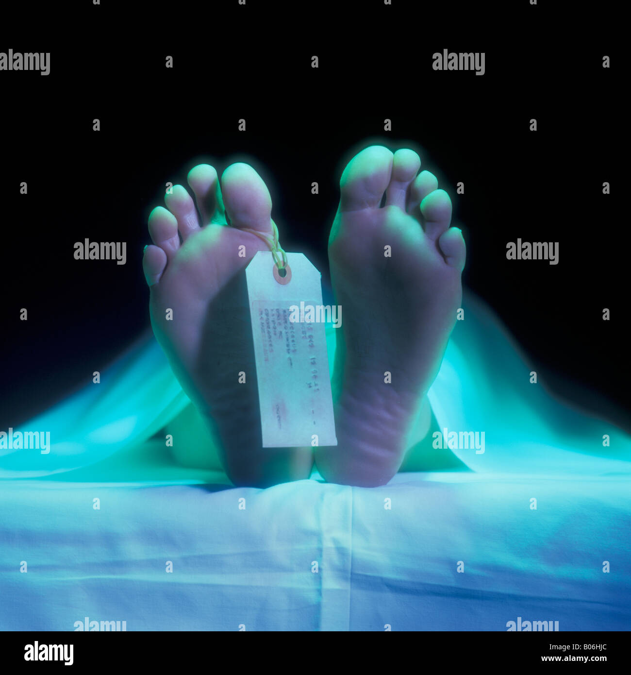 Etichettato i piedi di un cadavere Foto Stock
