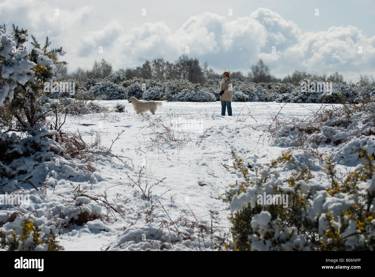 Godendo della neve alla divinità Hill, Nuovo Forrest, Hampshire, Inghilterra Foto Stock