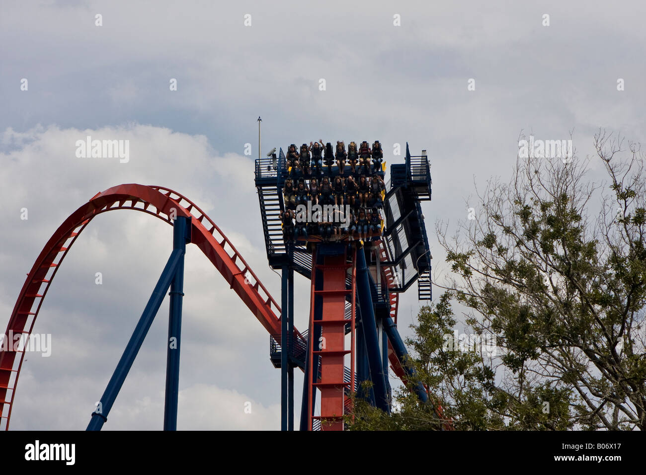 Sheikra Roller Coaster il brivido della corsa al Busch Gardens di Tampa Florida FL USA U S America American Foto Stock