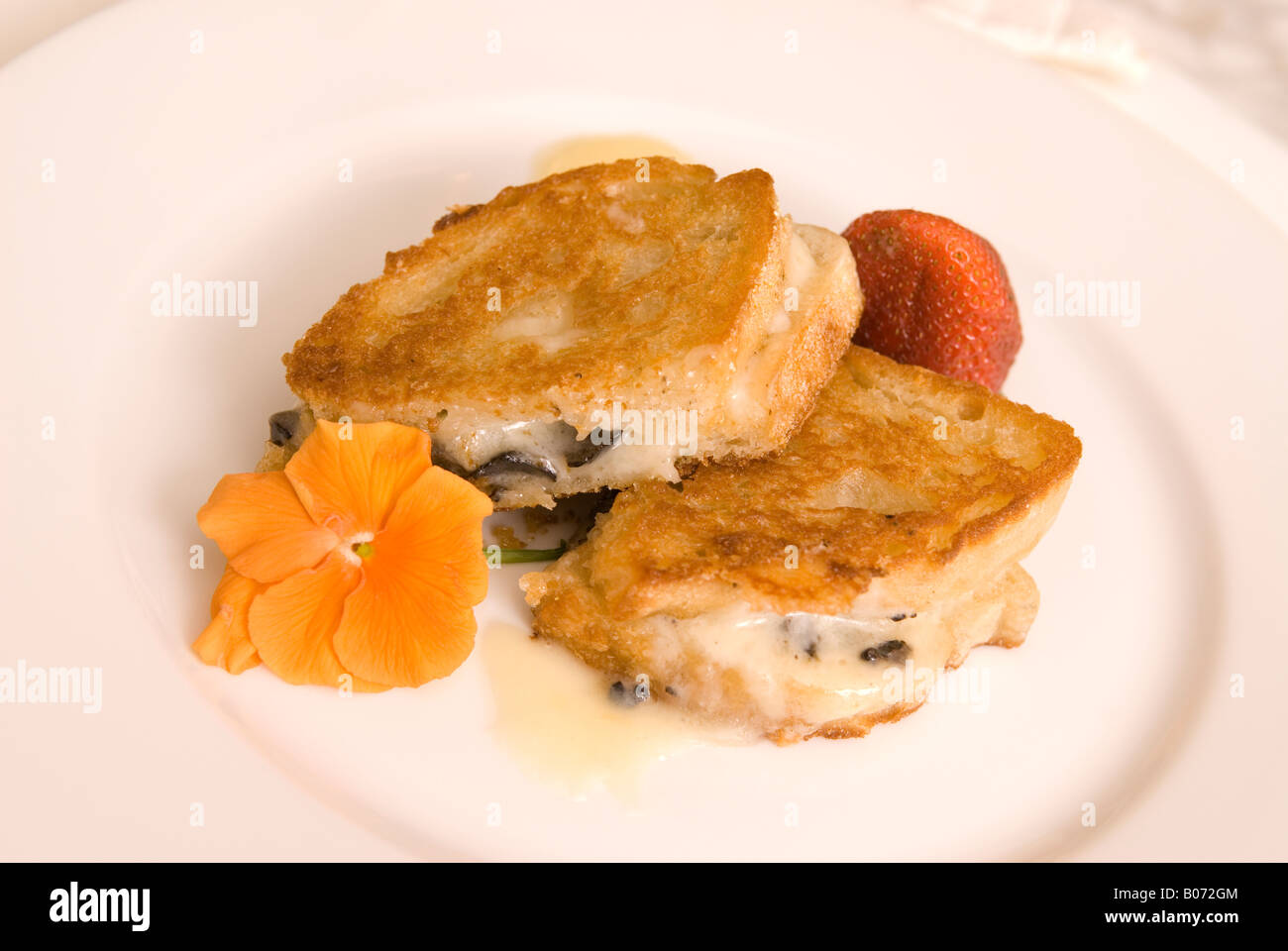 Vista dettagliata del Diamante Nero tartufi sandwich con pane di pasta acida e formaggio fuso USA Foto Stock