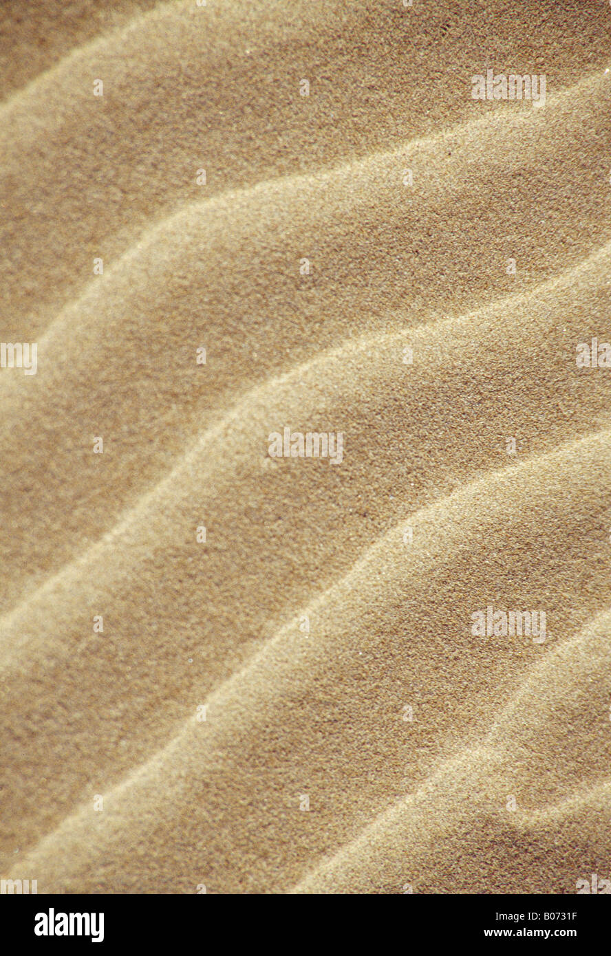 Ripple di sabbia. Foto Stock