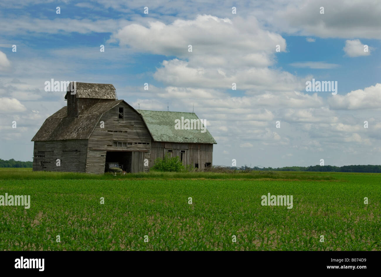 Carrello vecchio seduto in fienile con cornfield in primo piano nei pressi di Paulding, Ohio US. Foto scattata in giugno. Foto Stock