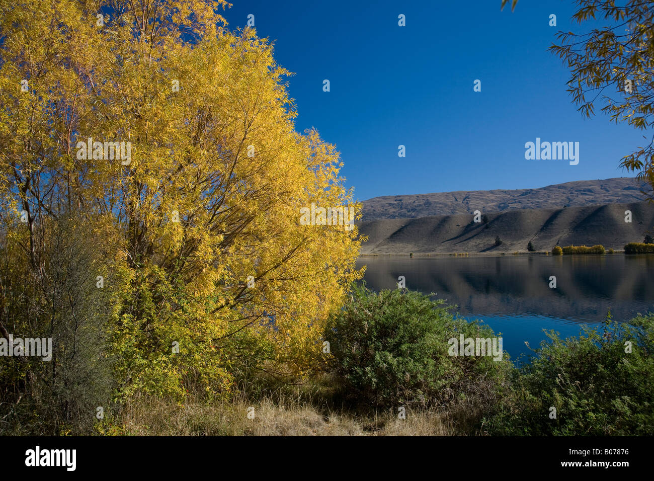 Riflessioni di montagna lago dunstan,Isola del Sud,Nuova Zelanda Foto Stock