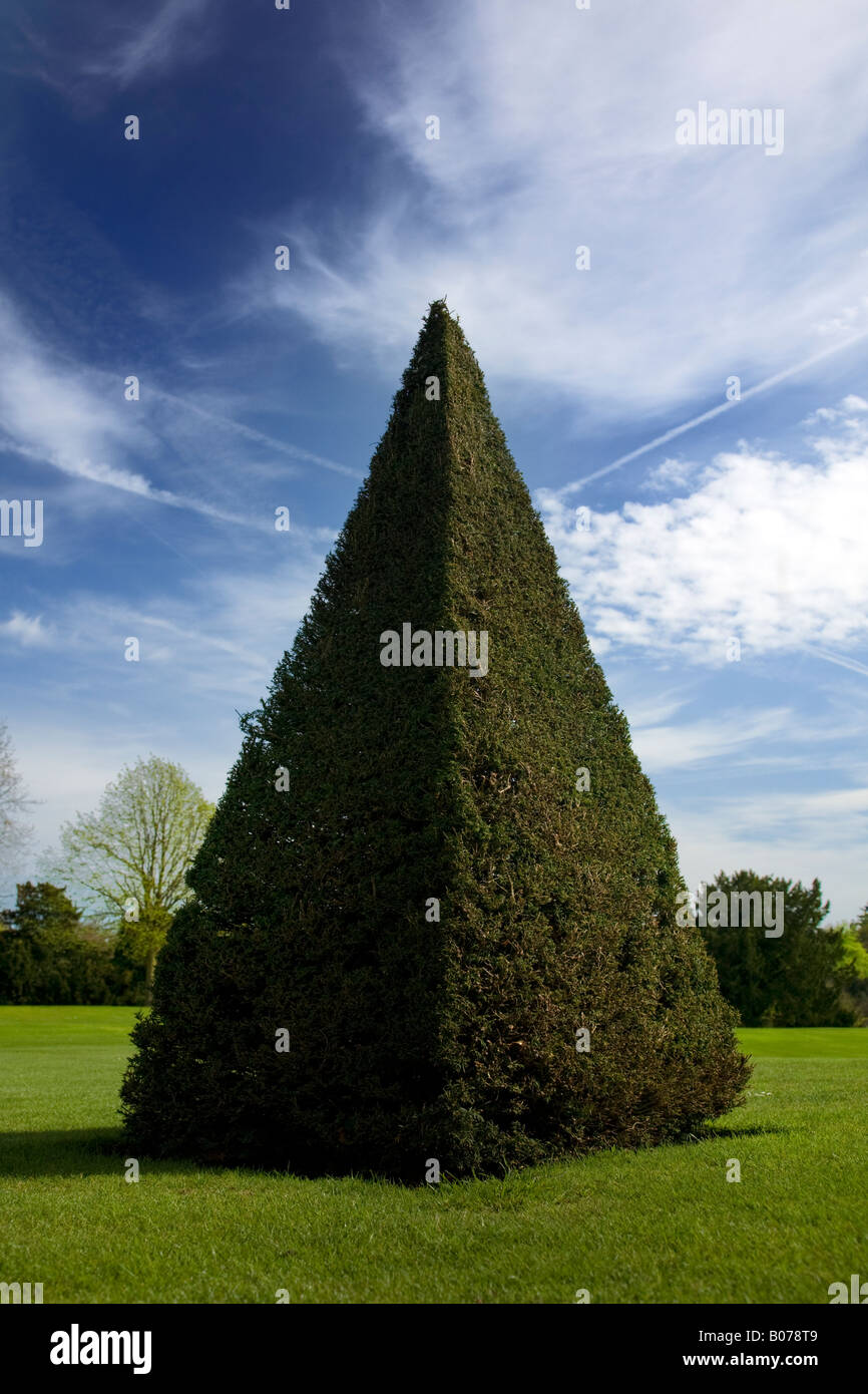 Topiaria da albero in giardino. tra realtà e finzione Foto Stock