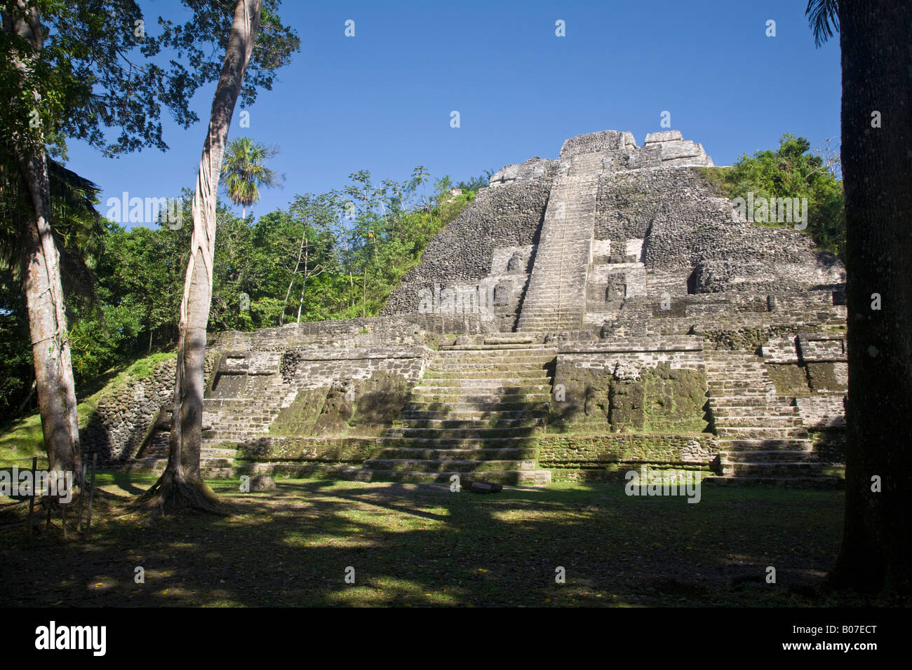 Belize, Lamanai, Alta Tempio (struttura N10-43) il massimo tempio a Lamanai a 125ft Foto Stock