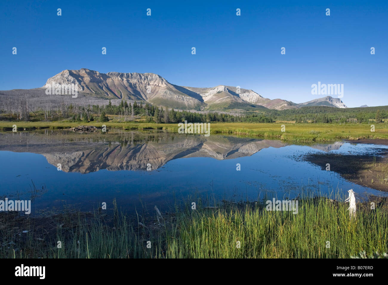 Divano montagna, Parco Nazionale dei laghi di Waterton, Alberta, Canada Foto Stock