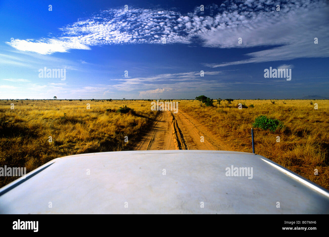 Vista del tetto sul Kenya Safari Foto Stock