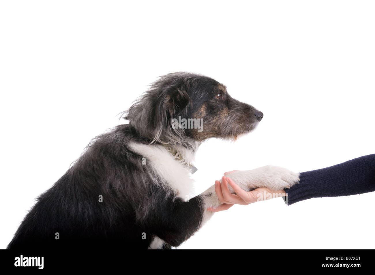 Amicizia Foto Stock