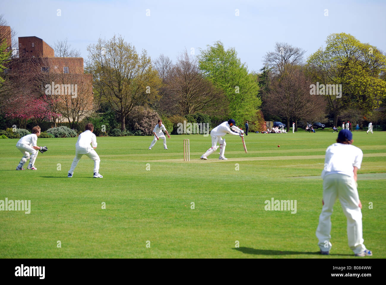 Partita di cricket, Charterhouse, Godalming, Surrey, England, Regno Unito Foto Stock