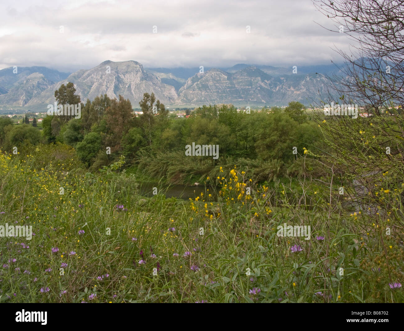 Vista del Monte Taigetos dalle rive del fiume Eurotas accanto a Sparta, Laconia provincia, Peloponneso, Grecia Foto Stock