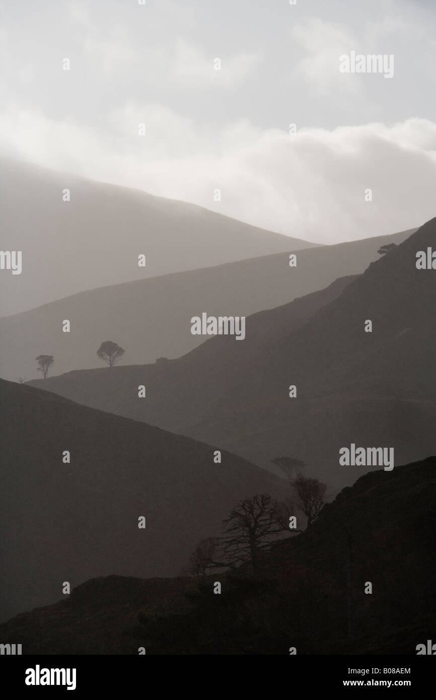 Montagne e alberi in Alladale station wagon, Sutherland, Scozia Foto Stock