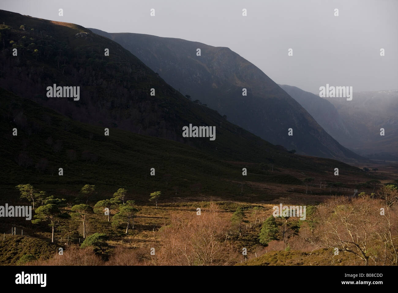 Drammatico paesaggio su Alladale station wagon, Sutherland, Scozia Foto Stock