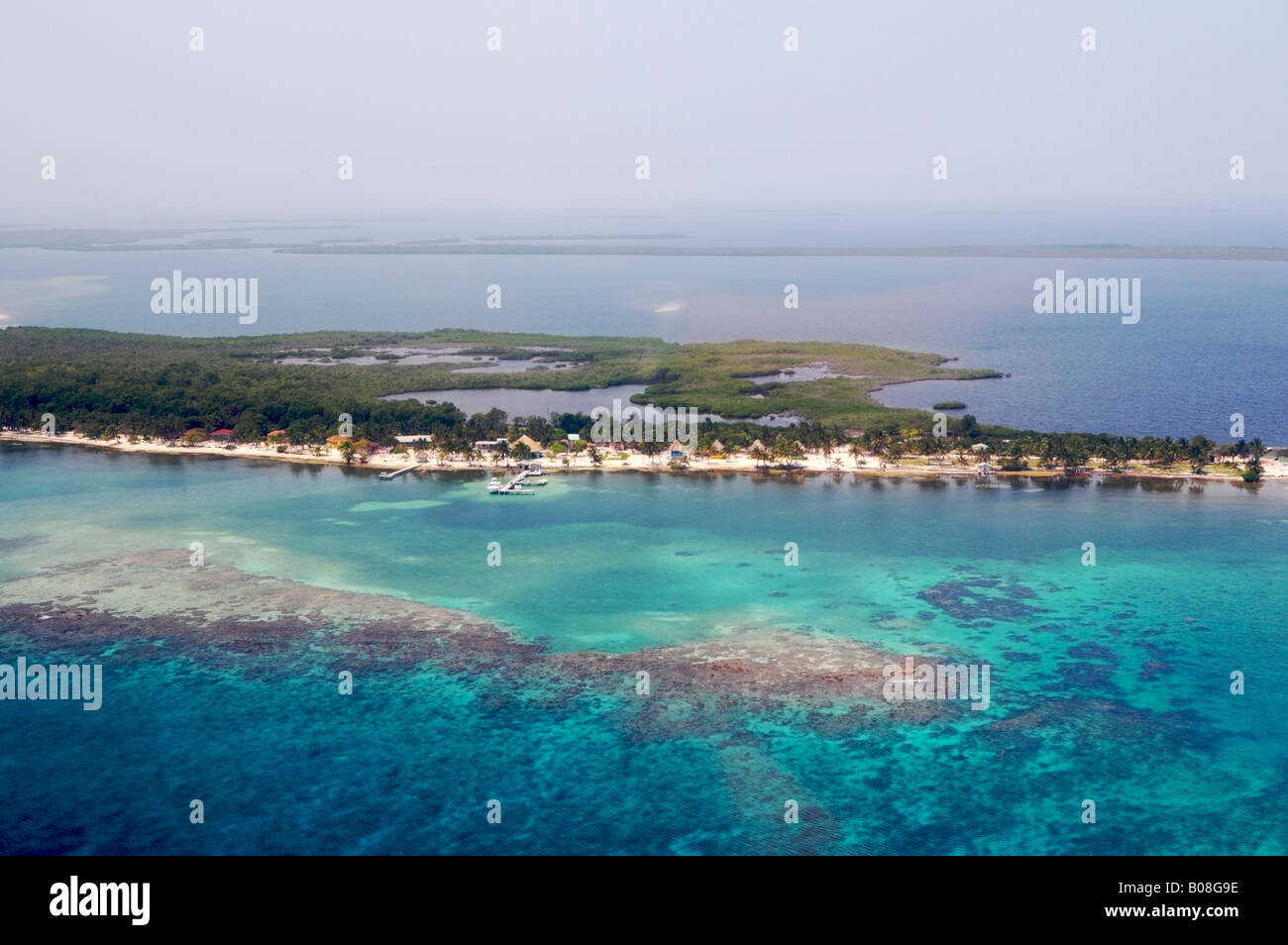 Spiaggia di Blackbird Caye Turneffe isole Belize il Belize barrier reef la seconda più grande al mondo Foto Stock