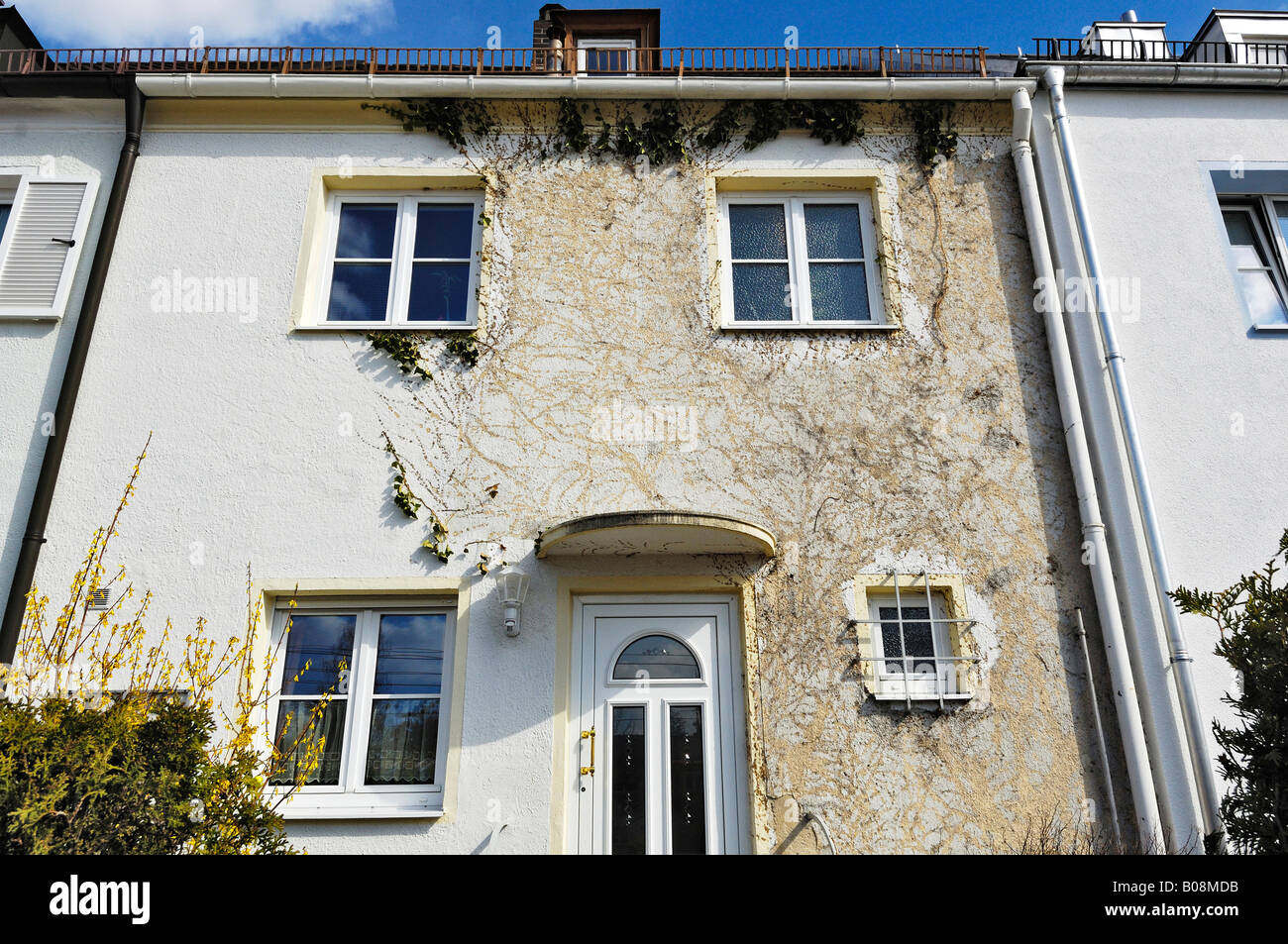 Facciata di edificio che mostra i segni lasciati dalla quasi completamente rimosso edera (Hedera), Monaco di Baviera, Germania Foto Stock