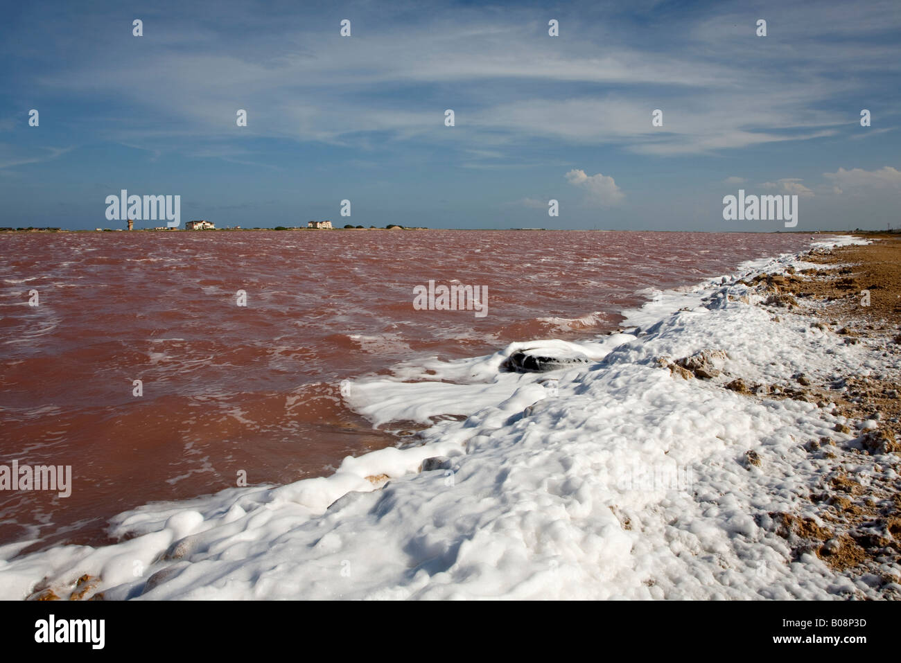 Salina de Cumaraguas, distesa di sale, sale evaporazione lungo la costa caraibica, penisola di Paraguaná, Falcón, Venezuela, Sud Amer Foto Stock