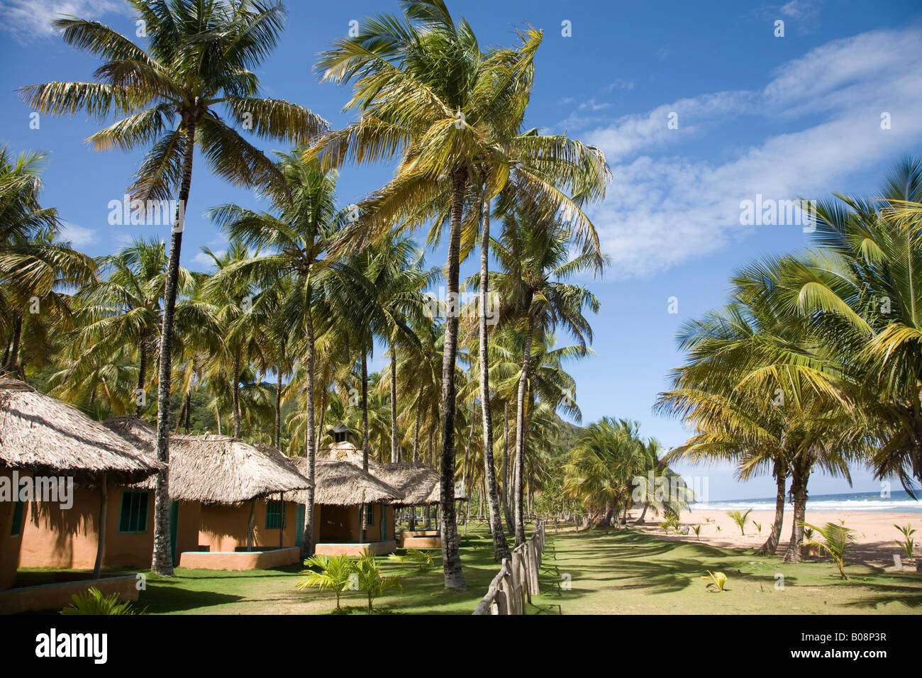 Capanne e palme, Playa Pui Puy Beach, Rio Caribe, Sucre, costa dei Caraibi, Venezuela, Sud America Foto Stock