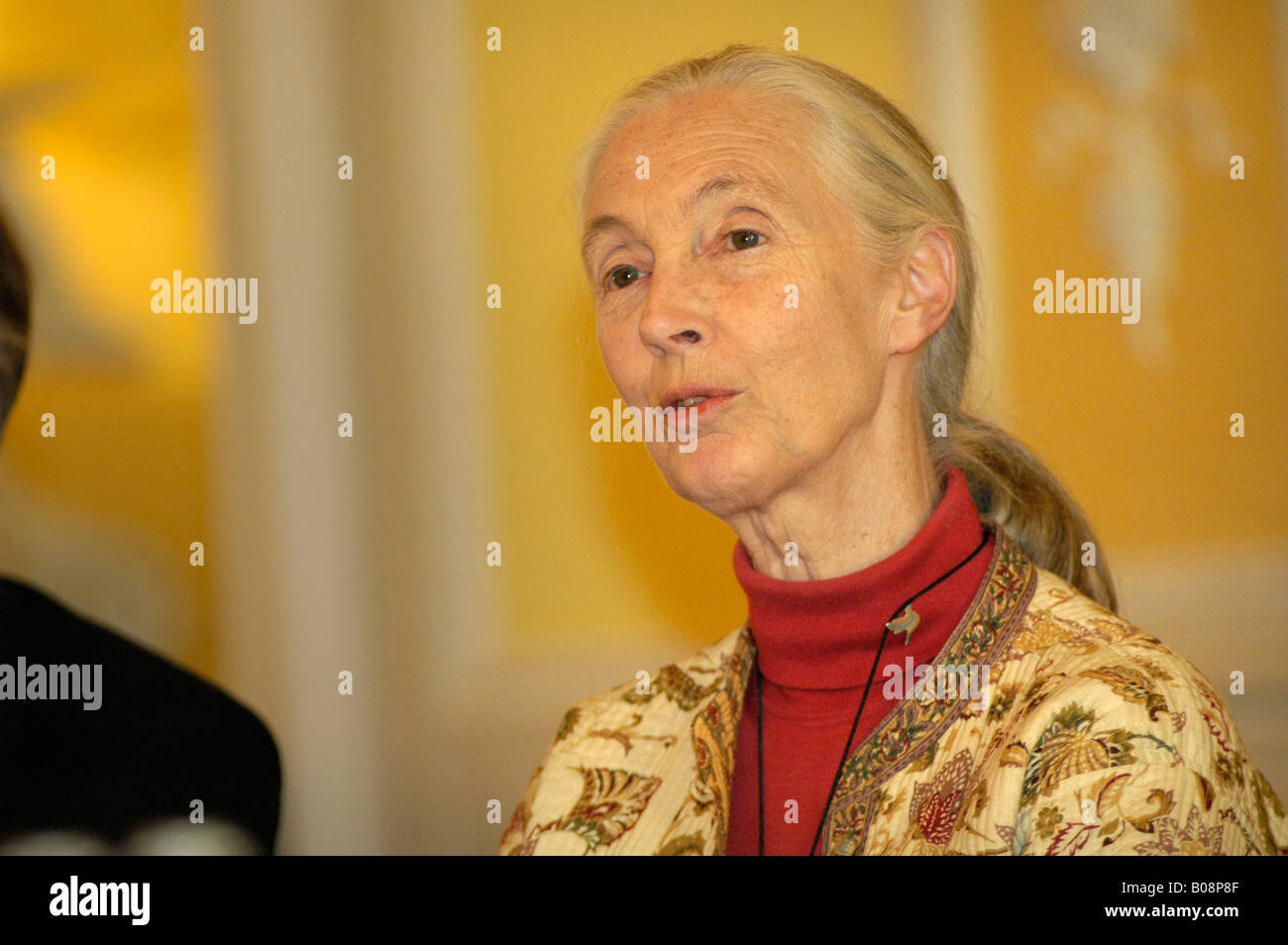 Primatologa e scimpanzé di avvocato, ONU messaggero di pace Jane Goodall durante un discorso tenuto a Innsbruck in Austria Foto Stock