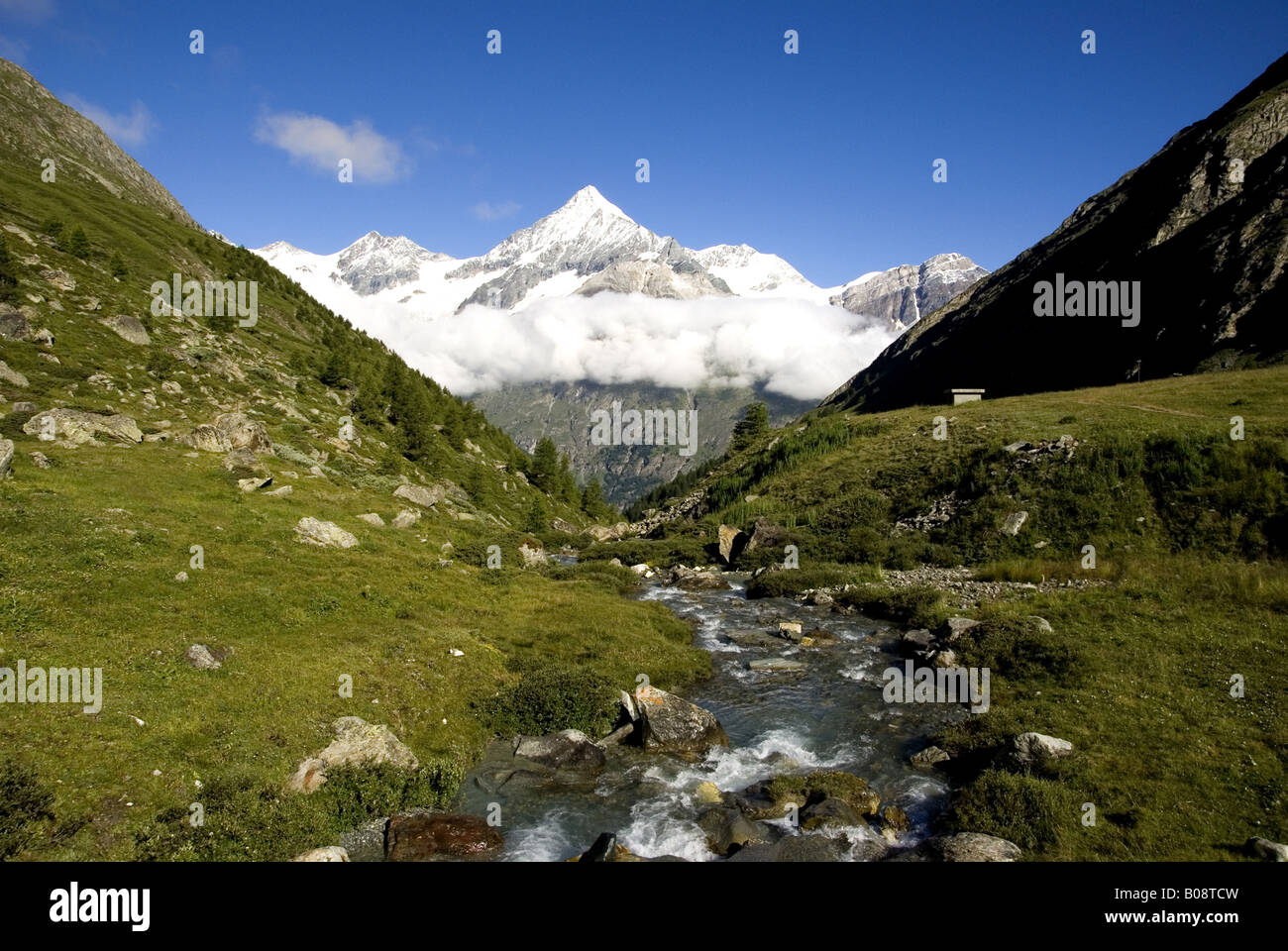 Il Weisshorn in estate con Taetsch creek, Svizzera Vallese, Alpi Foto Stock