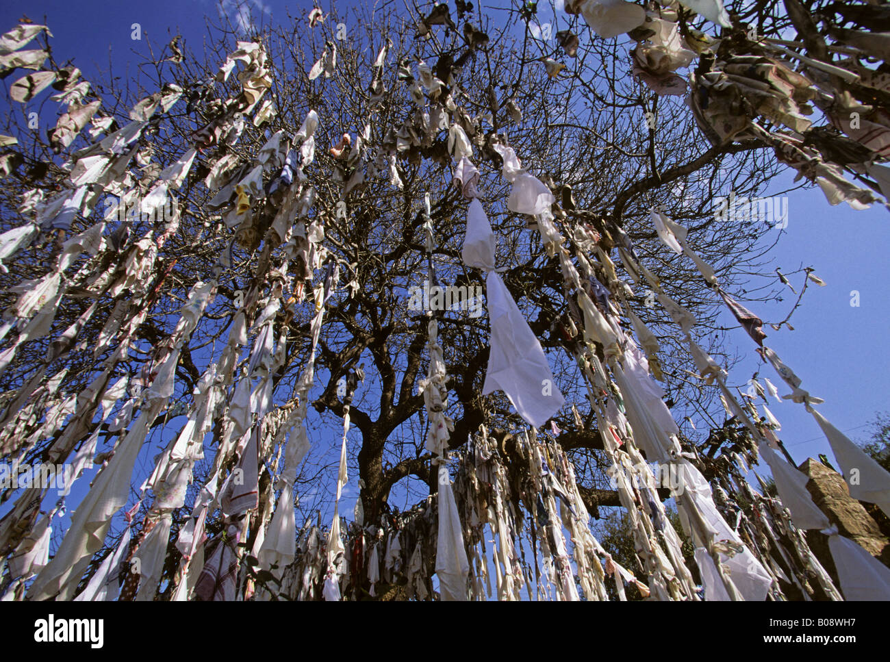 Panni bianchi o fazzoletti legati in nastri e pendente da alberi in lunghi  filamenti, Paphos, Cipro Foto stock - Alamy