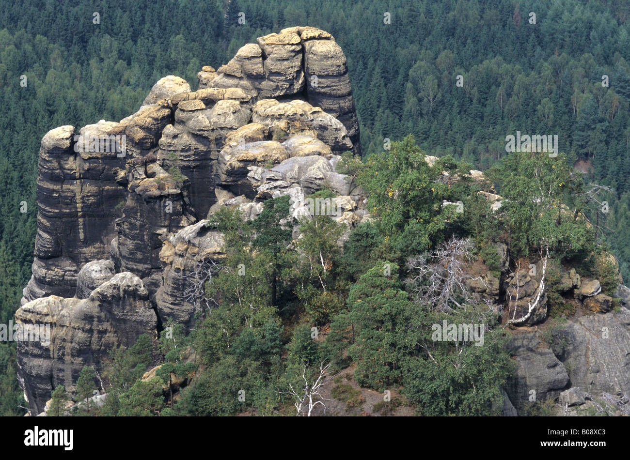 Roccia a picco nella Svizzera sassone, in Sassonia, Germania, Europa Foto Stock