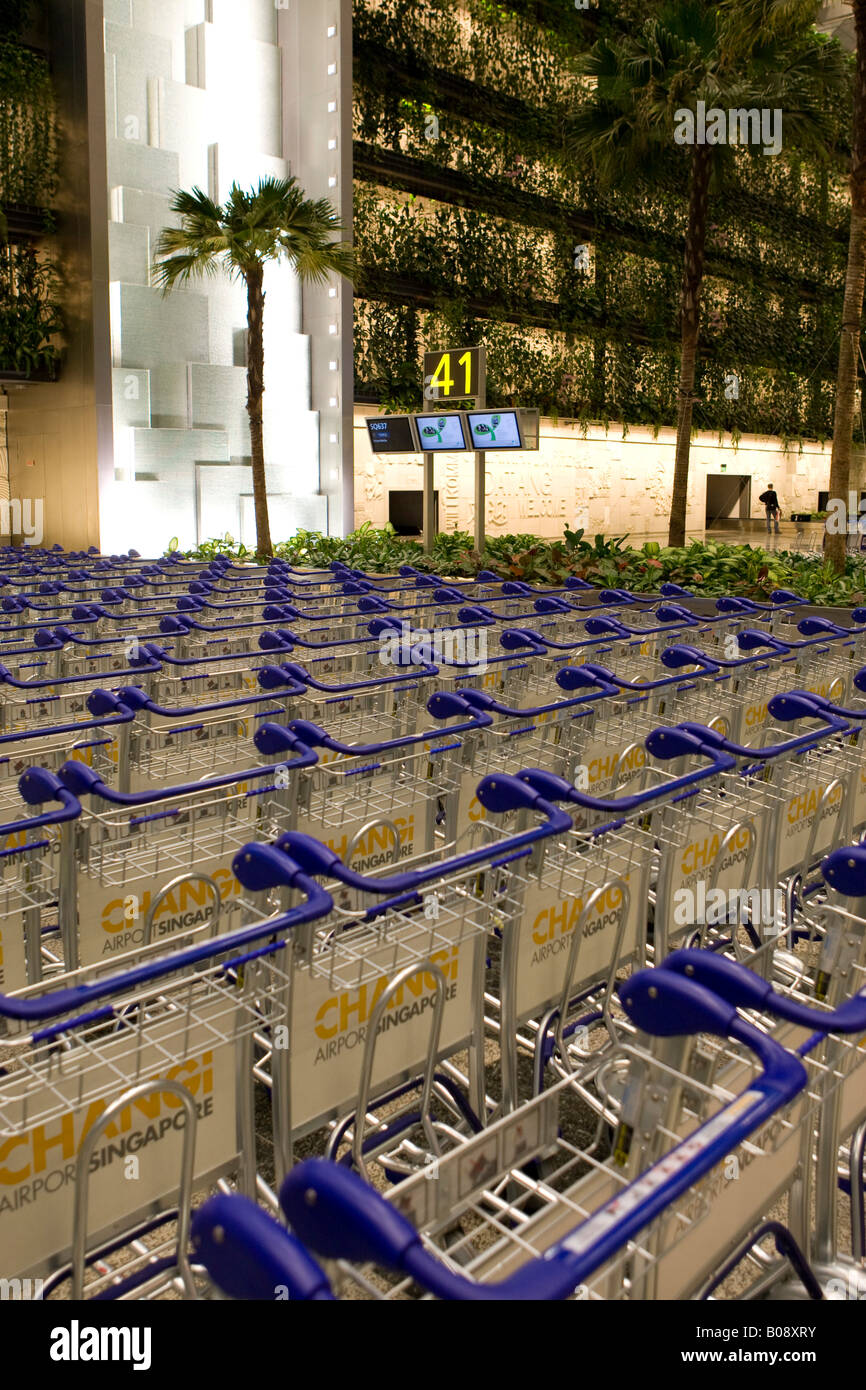 Righe di carrelli portabagagli dentro l'Aeroporto Changi di Singapore, Singapore, Sud-est asiatico Foto Stock