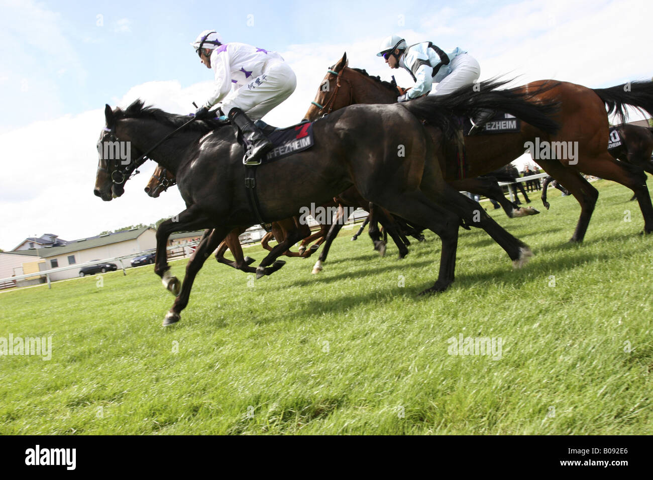 Corse di cavalli, Germania Foto Stock
