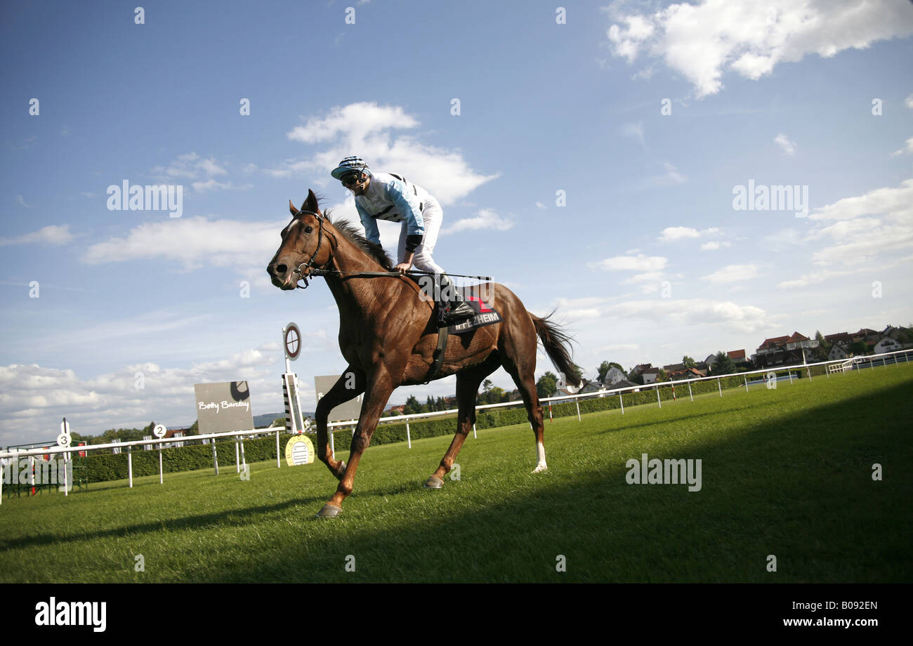 Corse di cavalli, cavallo con fantino, Germania Foto Stock