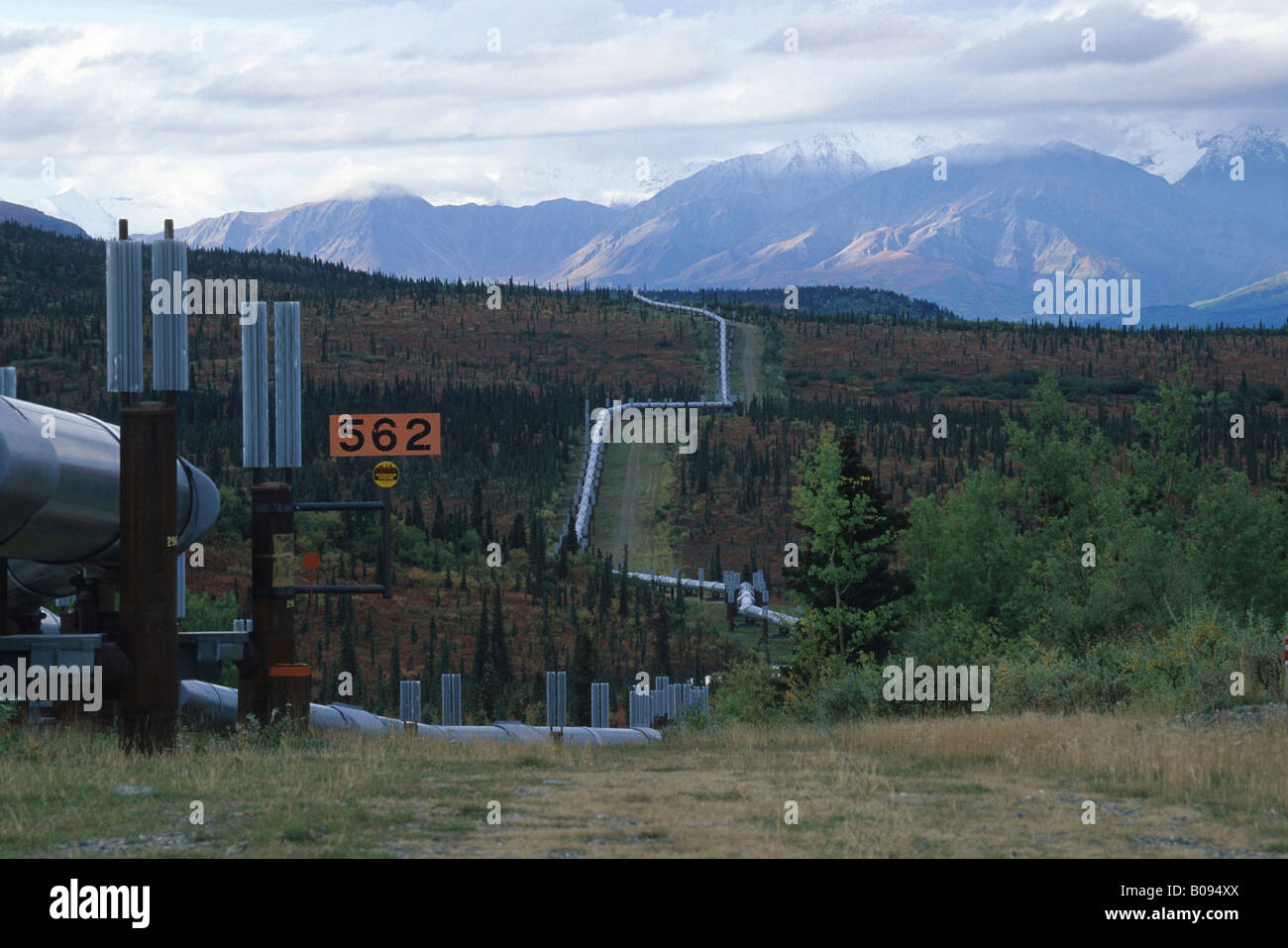 Oleodotto tra Delta giunzione e Paxon, Alaska Foto Stock