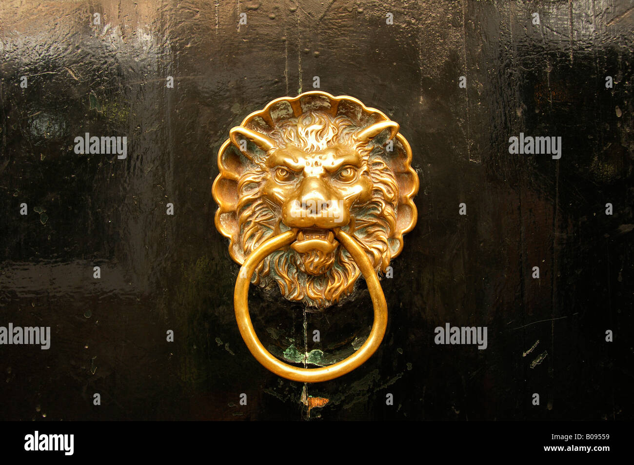 Testa leone porta respingente, Venezia, Veneto, Italia Foto Stock