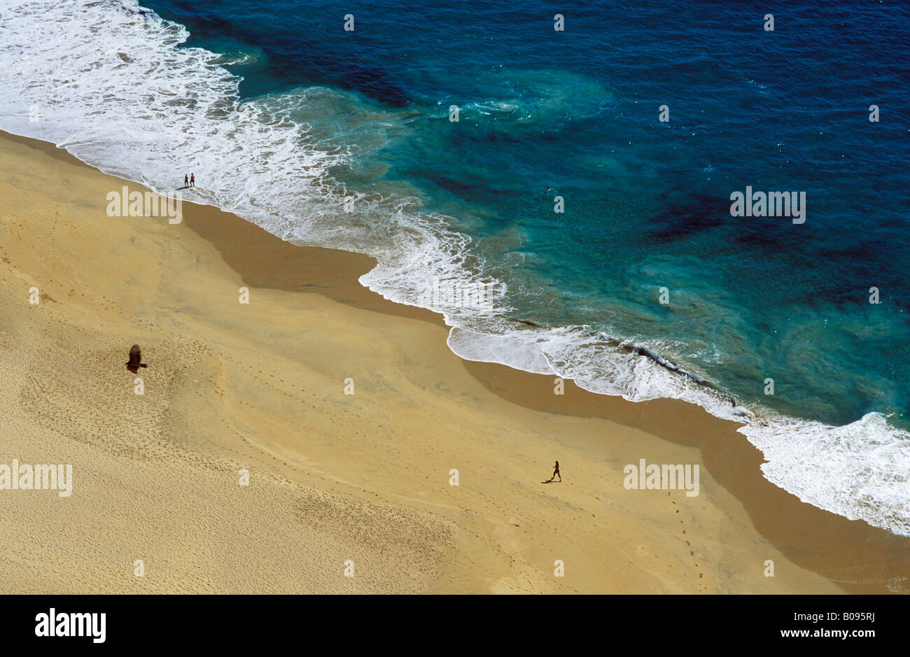 Spiaggia, Cabo San Lucas, Baja California Sur, Messico Foto Stock